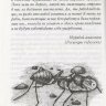 Письма насекомых (Кувыкина О.)
